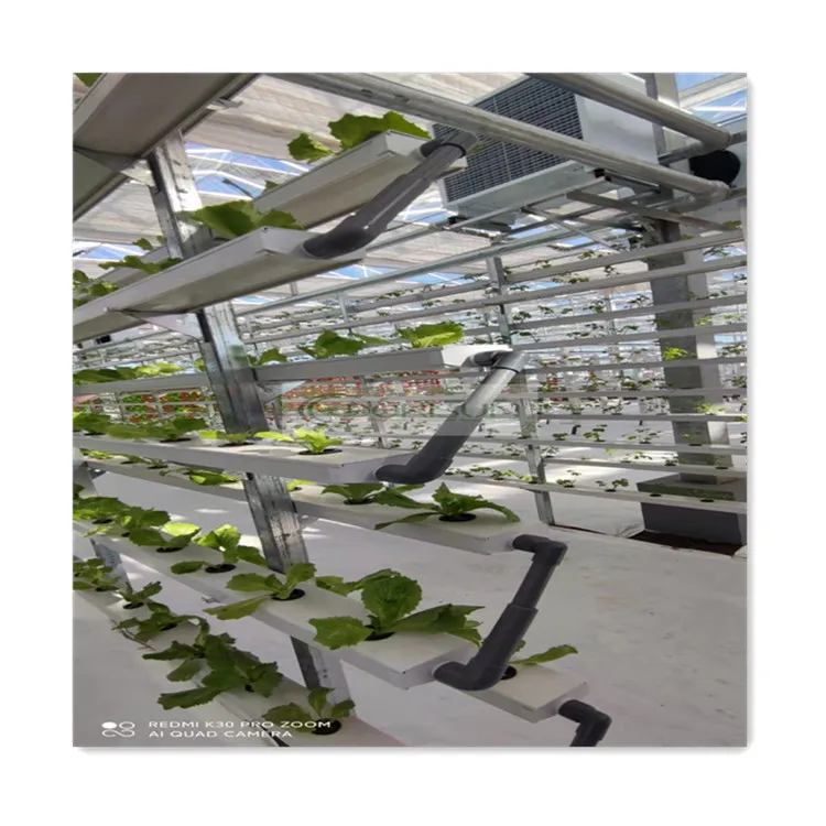 Factory Direct Sale Complete Agricultural Green House Vertical Farm Hydroponics Cucumber Nft System