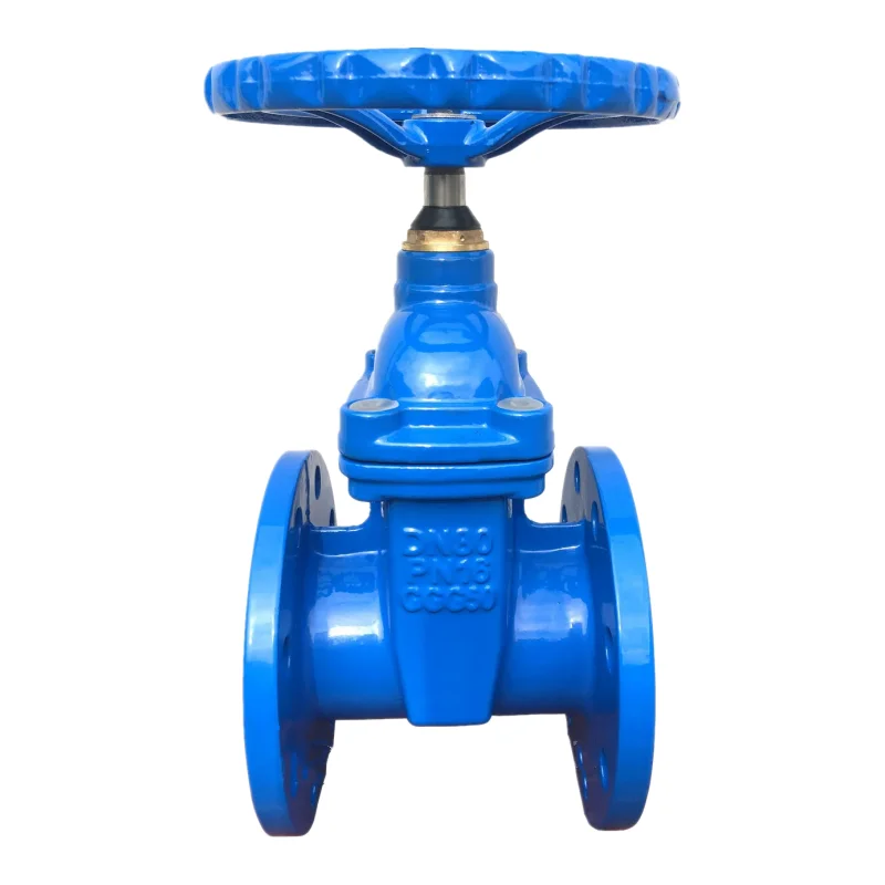 DIN F4 Cast Iron Soft Sealed Gate Valve