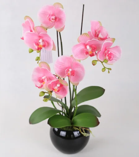 wholesale fashionable pink real touch artificial phalaenopsis orchid flowers for wedding decoration
