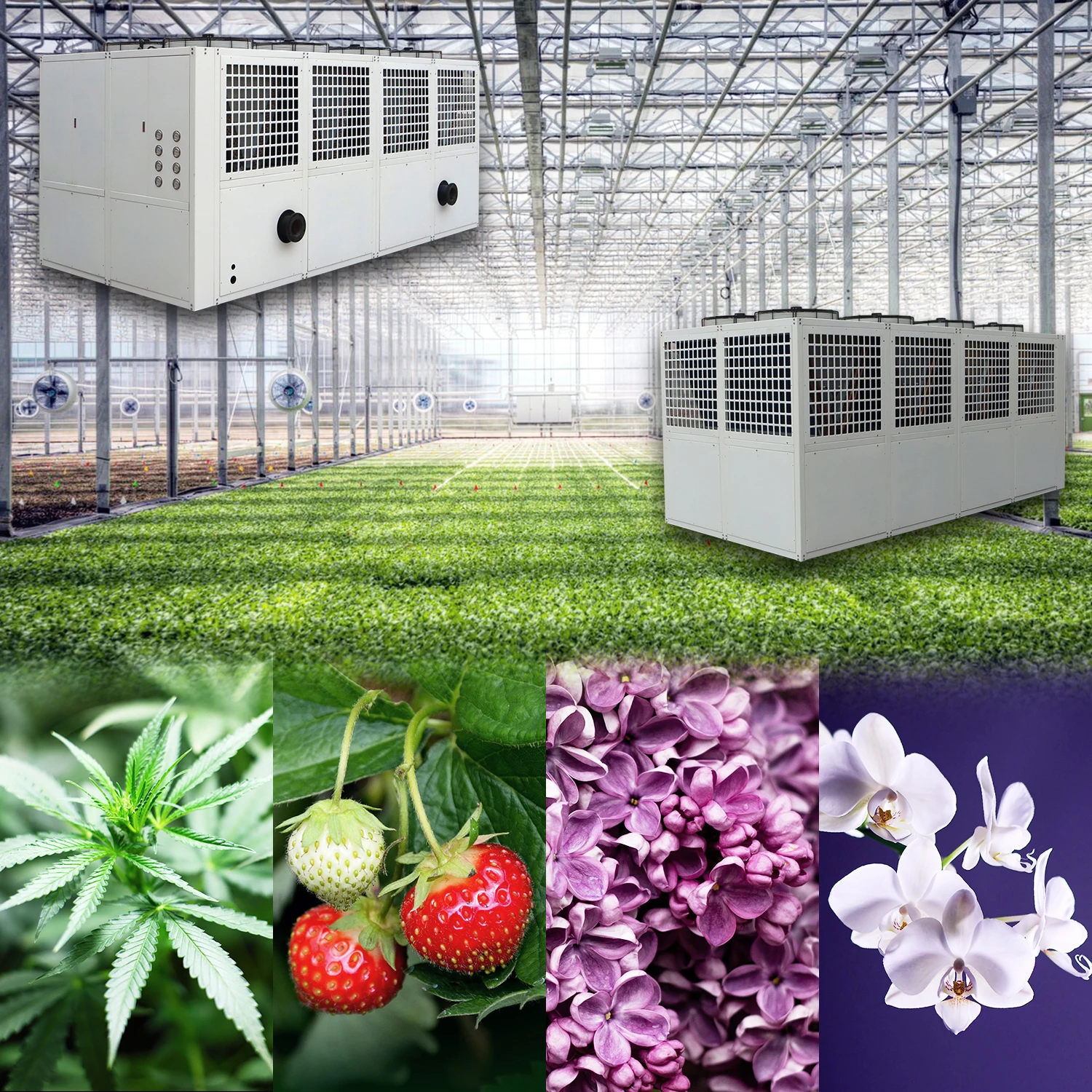 Нет минимального заказа, промышленный чиллер dyty