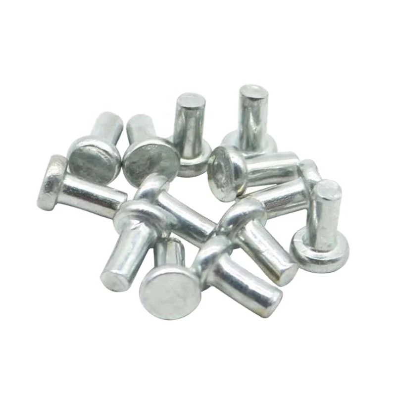 Factory supply wholesale rivet Stainless Steel flat round head Solid Rivet