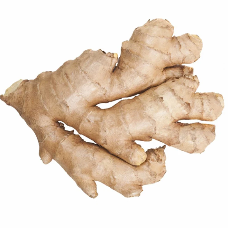 China Wholesale Spice Bulk AD Dehydrated Ginger Flakes