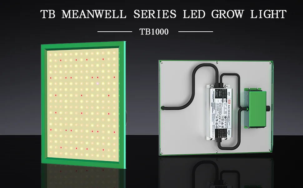 Grow Light for Indoor Plants Growing Lamp  LEDs UV IR Red Blue Full Spectrum Plant Lights for Hydroponics Greenhouse