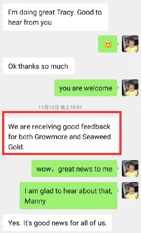 Organic Fertilizer Kelp Source seaweed extract fertilizer