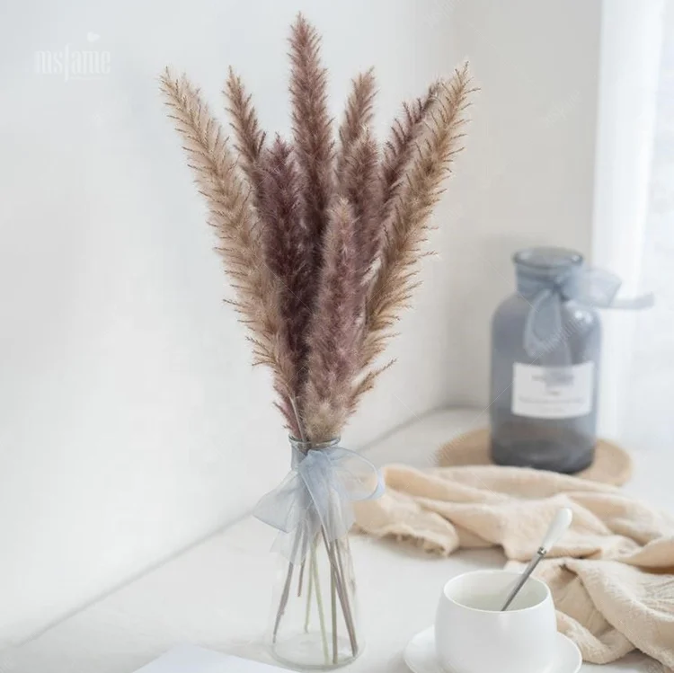 Hot Sale Small Flower Pampass Grasses Decor Wedding Pampas Grass Dried Flowers