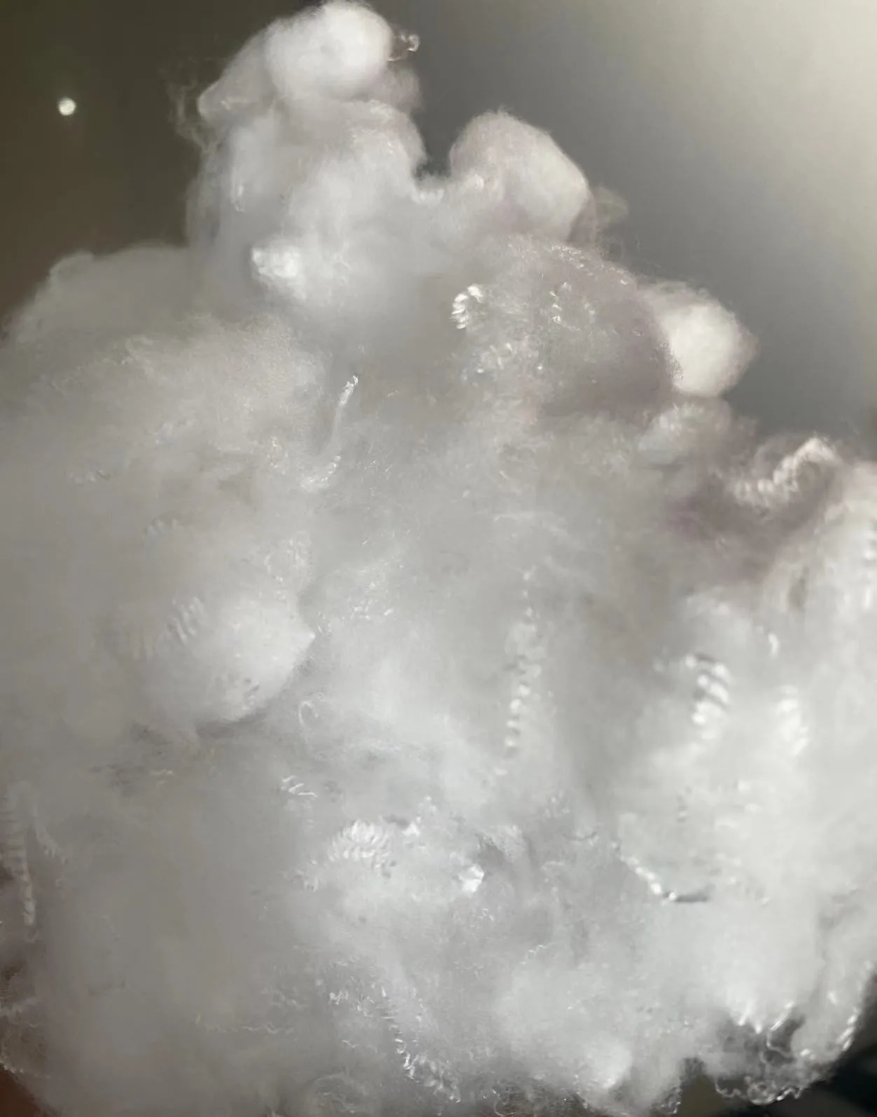 6D51MM65mm  polypropylene  Staple fiber  raw white  black for spinning yarn nonwoven and so on