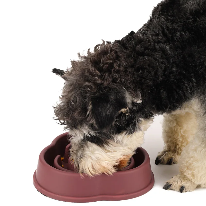 Pet Dog Cat Slow Food Bowl Anti-choking Slow Feeder Non-slip Thickened Bowl Food Dispenser Eating Healthy Pet Supplies