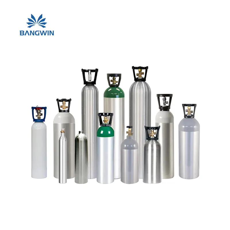 DOT/ISO 40L Steel Customized High Pressure CO2 Tank 1000L Oxygen Argon Gas Cylinder OME 10L Medical Gas 10kg Weight