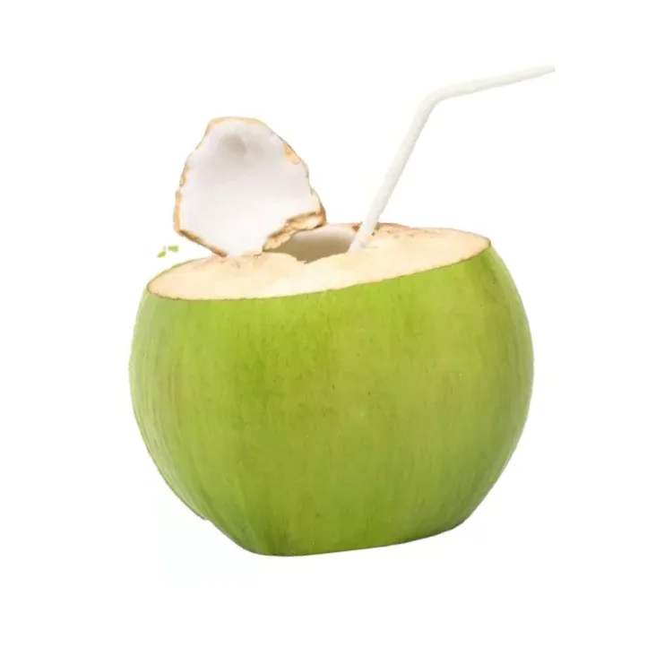 Extra Product Grade of Tropical Fruits of Young Coconuts White Color 100% Organic Sweet Taste Thailand Export Large Market