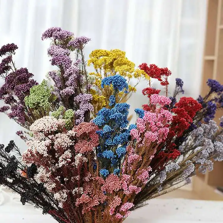 wholesale modern arrangement natural ozothamnus preserved rice flower for mother day flower