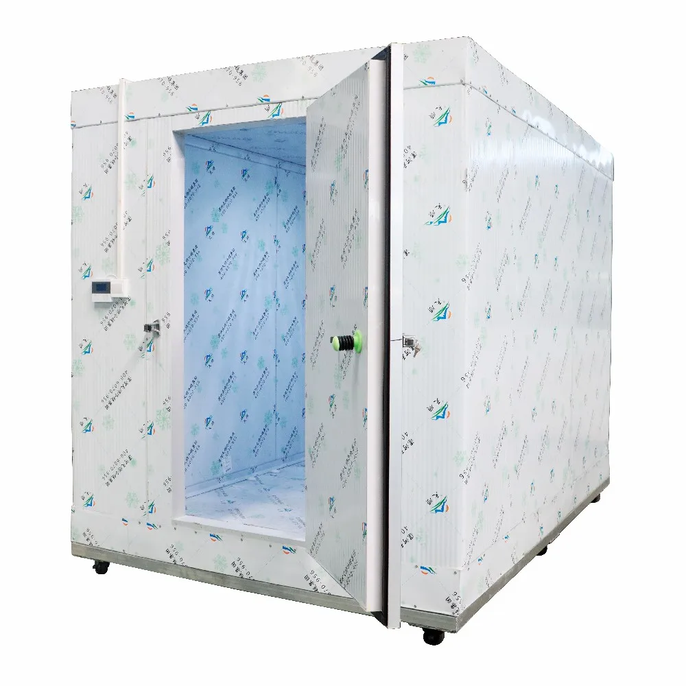 france refrigeration compressor Unit Cold Room Compressor Condensing Unit and Evaporator All In One For Walking in Storage Room