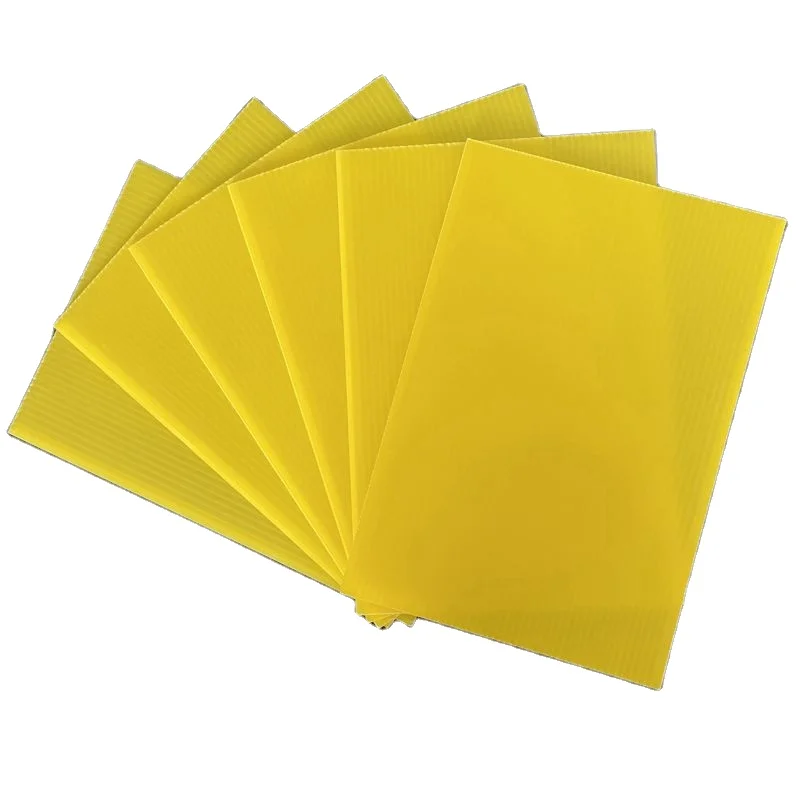 Hot Sale & High Quality 12Mm Useful Corrugated Pp Plastic Cutting Board Durable