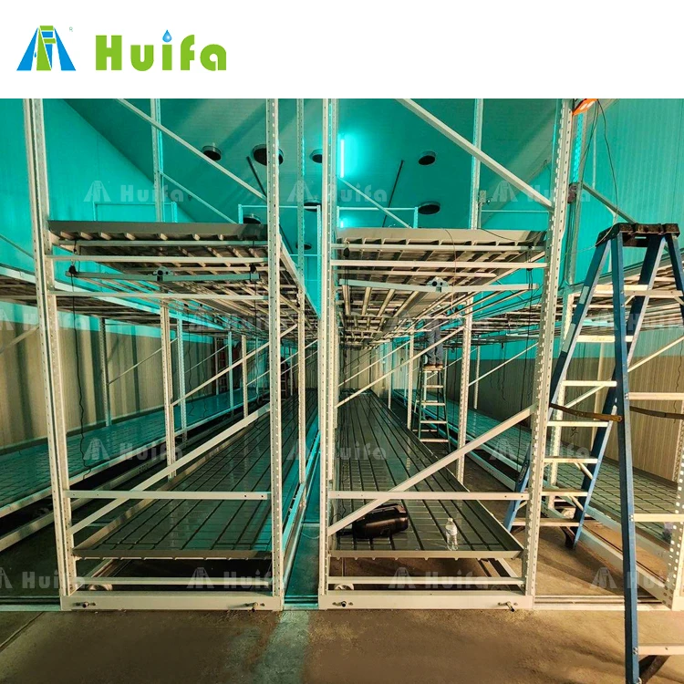 Hot Selling Vertical Farming Two Tier Mobile Vertical Grow Rack Systems