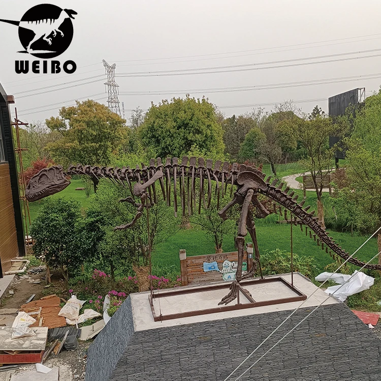 Long neck dinosaur skeleton dinosaur fossil