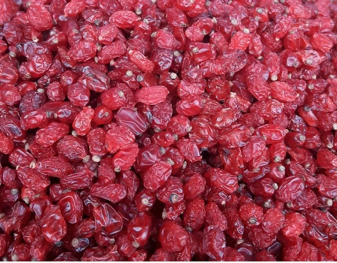 Barberries Dried Barberries  Bulk High Quality Barberry - Zereshk for Sale