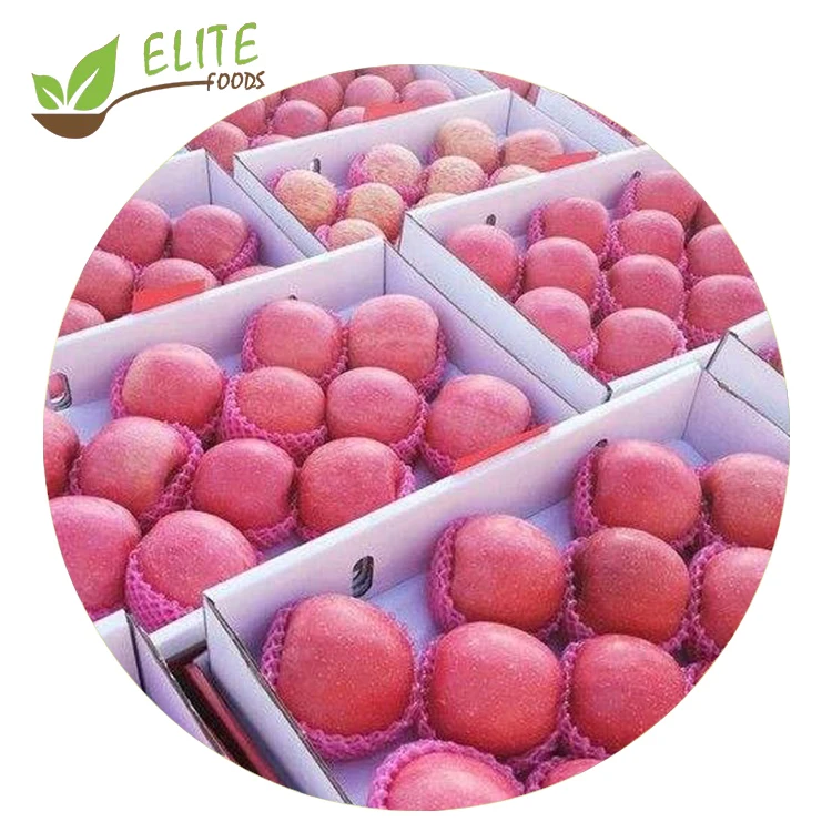 
New crop Chinese Fresh fruit Red Fuji Apple price 