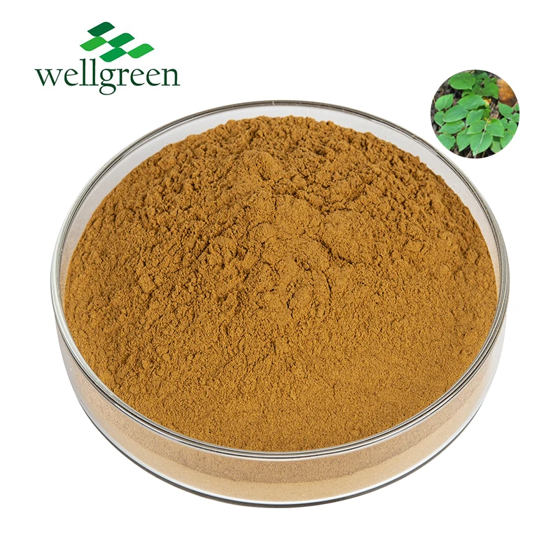 Herb Extract Horny Goat Weed Powder Epimedium Grandiflorum Extract