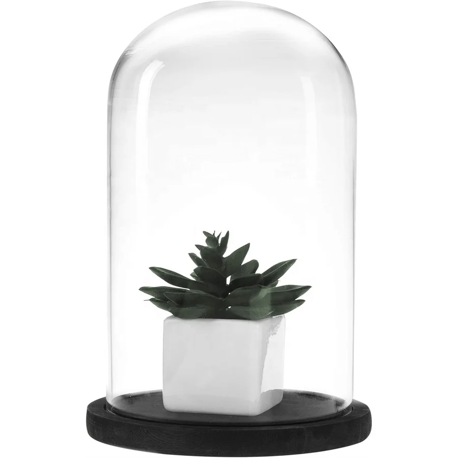 Factory Directly Cheap Clear Cloche Glass Dome Hot Sale Cheap Different Size Clear Glass Dome With Different Wood Stand