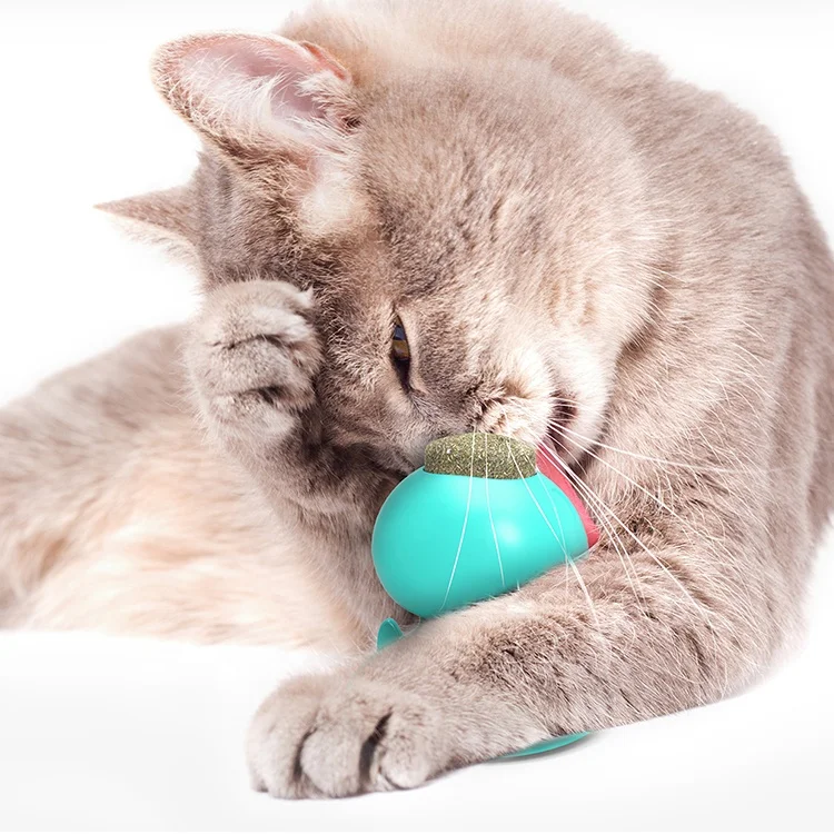  Promotional Multifunctional Cat Toys Teeth Cleaning Natural Catnip With Suction Cup For