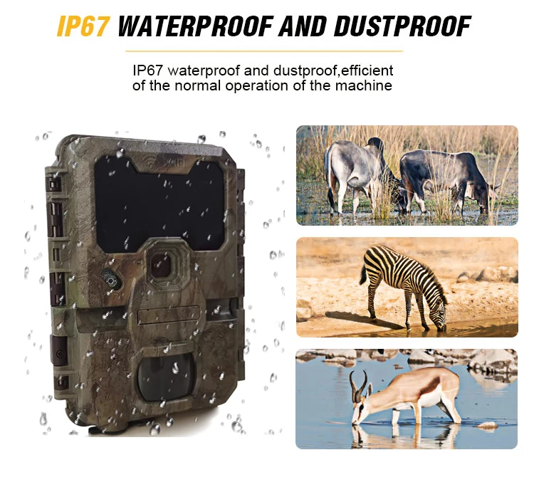 Keepguard KW866WF 4K 32MP мини-ловушки для дикой природы WiFi камера живой охоты