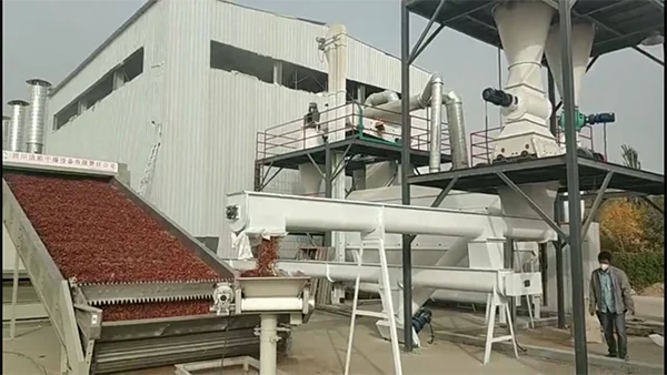Chili ginger pepper continuous mesh belt drying machine for commercial vegetables and fruits dehydrator dryer