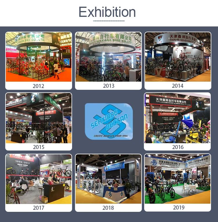 Senxiang Shimano 7 Speed Foldable Electric Bicycle Price E Bicycle Electric Bike