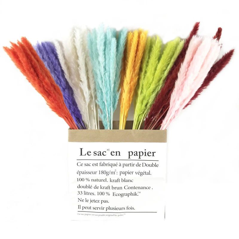Wholesale Natural Dried Flowers Purple Small Pampas Grass Party Wedding Wall Decoration Home flower arrangement