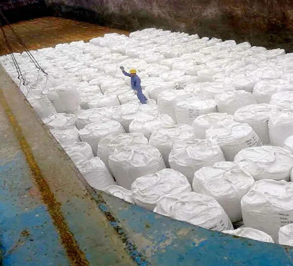 Гидратированная известь гидроксид кальция с горячей продажей CAS 1305-62-0