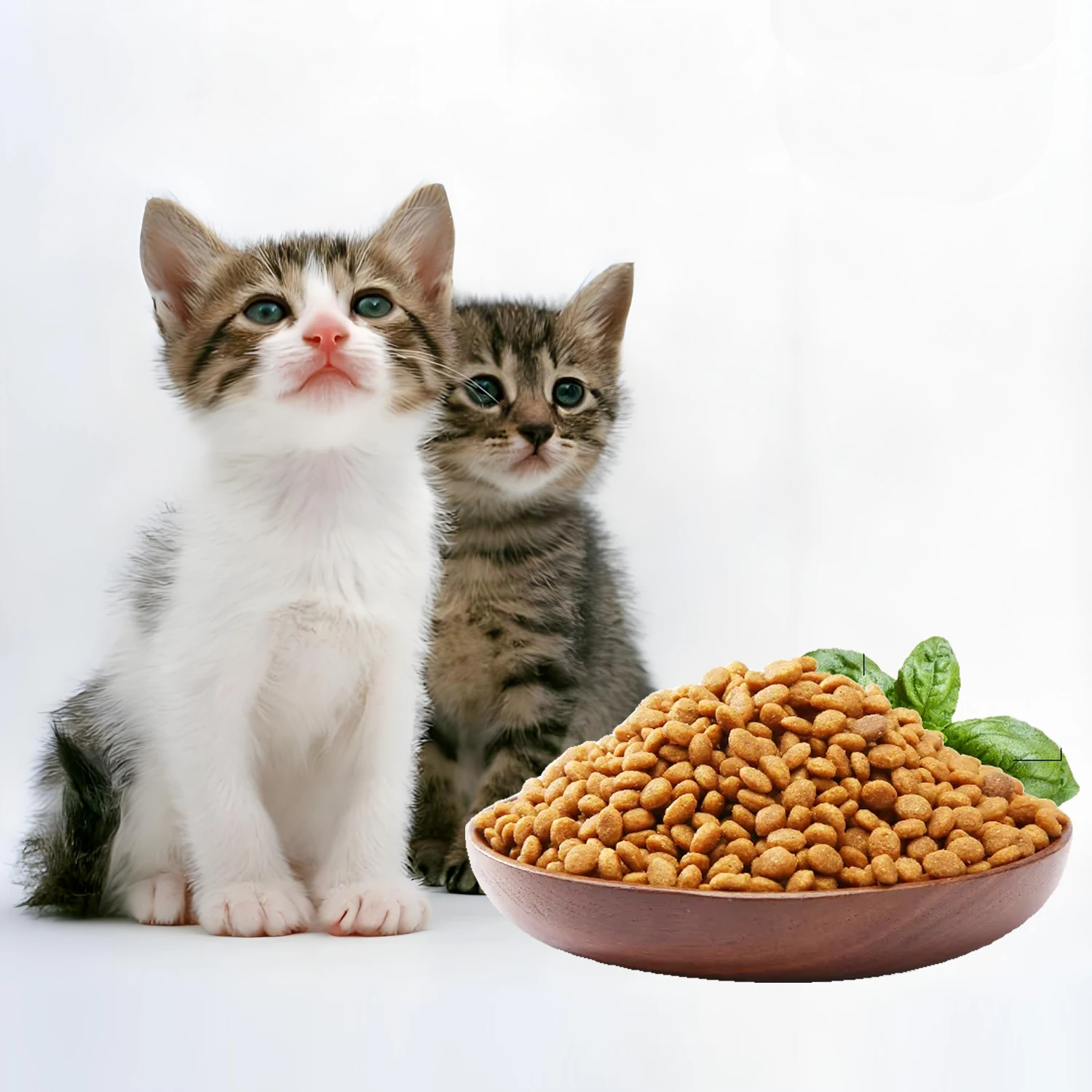 Free Sample Cat Food Supplier Health Nutrition Rich Lecithin Taurine Urinary Care Dry Pet Cat food