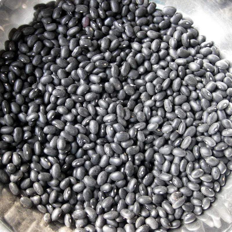 Wholesale Sugar Beans Organic Black Kidney Beans Price