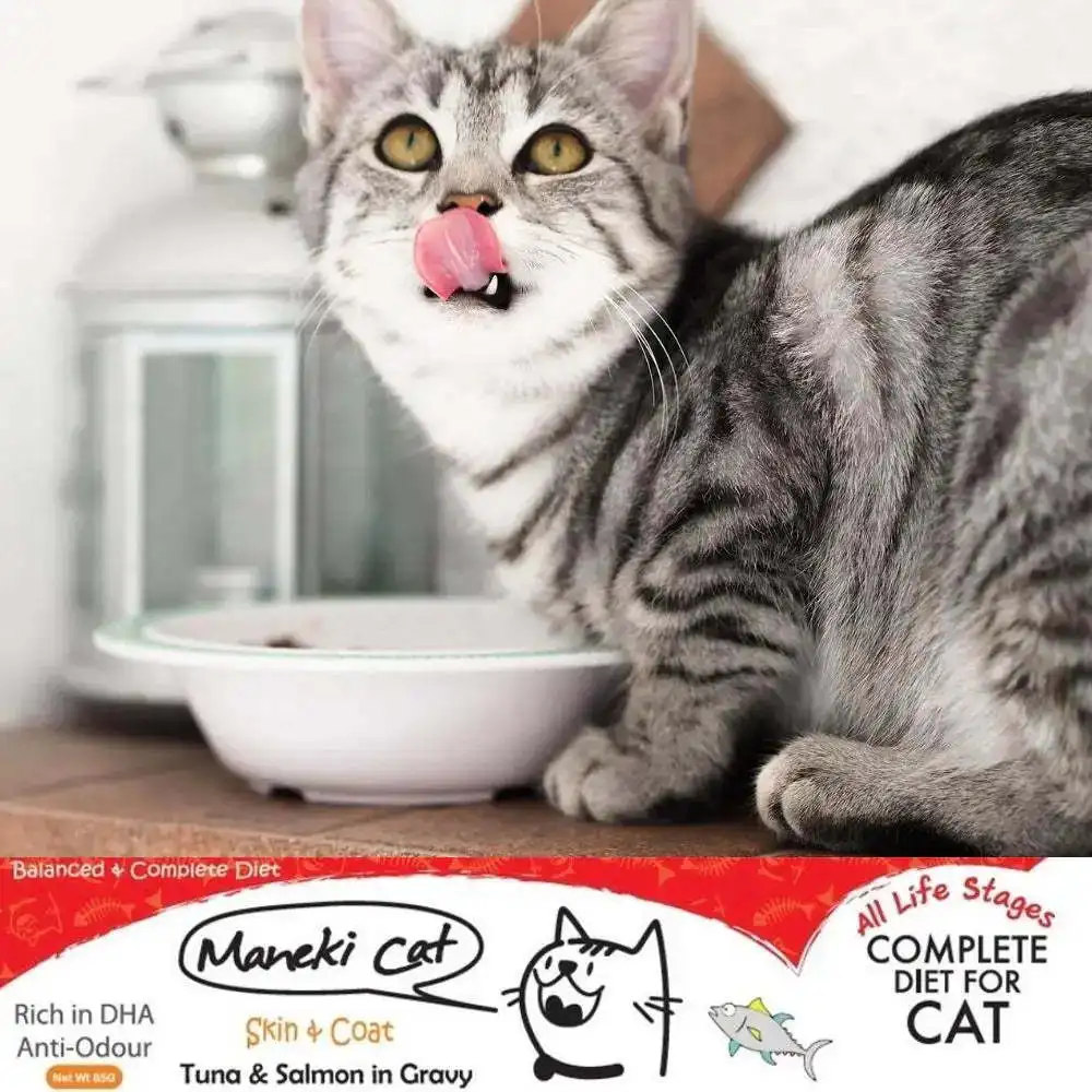 Factory Direct Price Top Quality Top Grade Cat Kitten Food Dry Tuna Salmon in Jelly Flavors Wide Range Exported Product for Sale