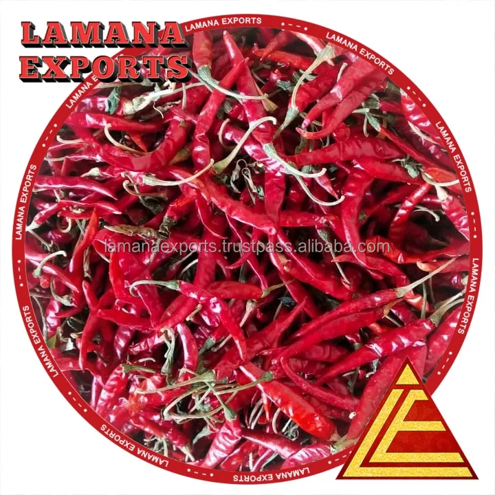 Spicy Dry Red Chilli S17 Teja with Stem Indian Chilli Deluxe Quality for Thailand