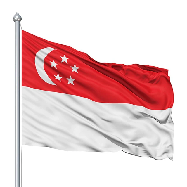 Wholesale high quality Custom flag Customized Logo Printed Flags