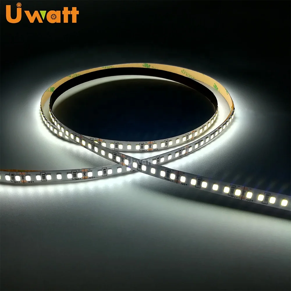DC 12V 24V AC 220V 120V Width 10mm Length 32.8ft 60ft 100ft LED Strip Light