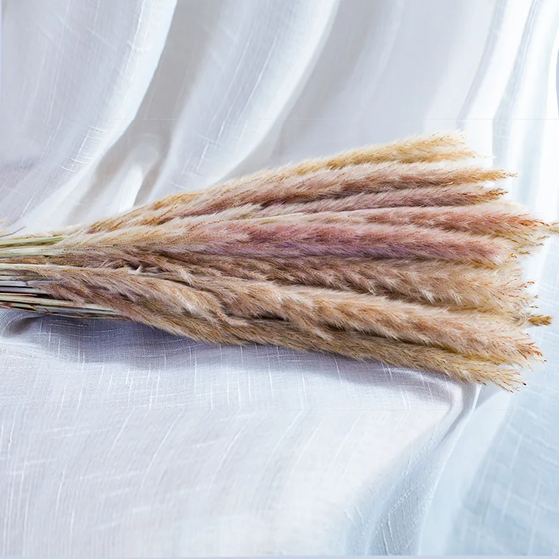 Natural Dried Pampas Grass Small Artificial Flower for Wedding decoration and home Festival Bouquet arrangement Fluffy Reed
