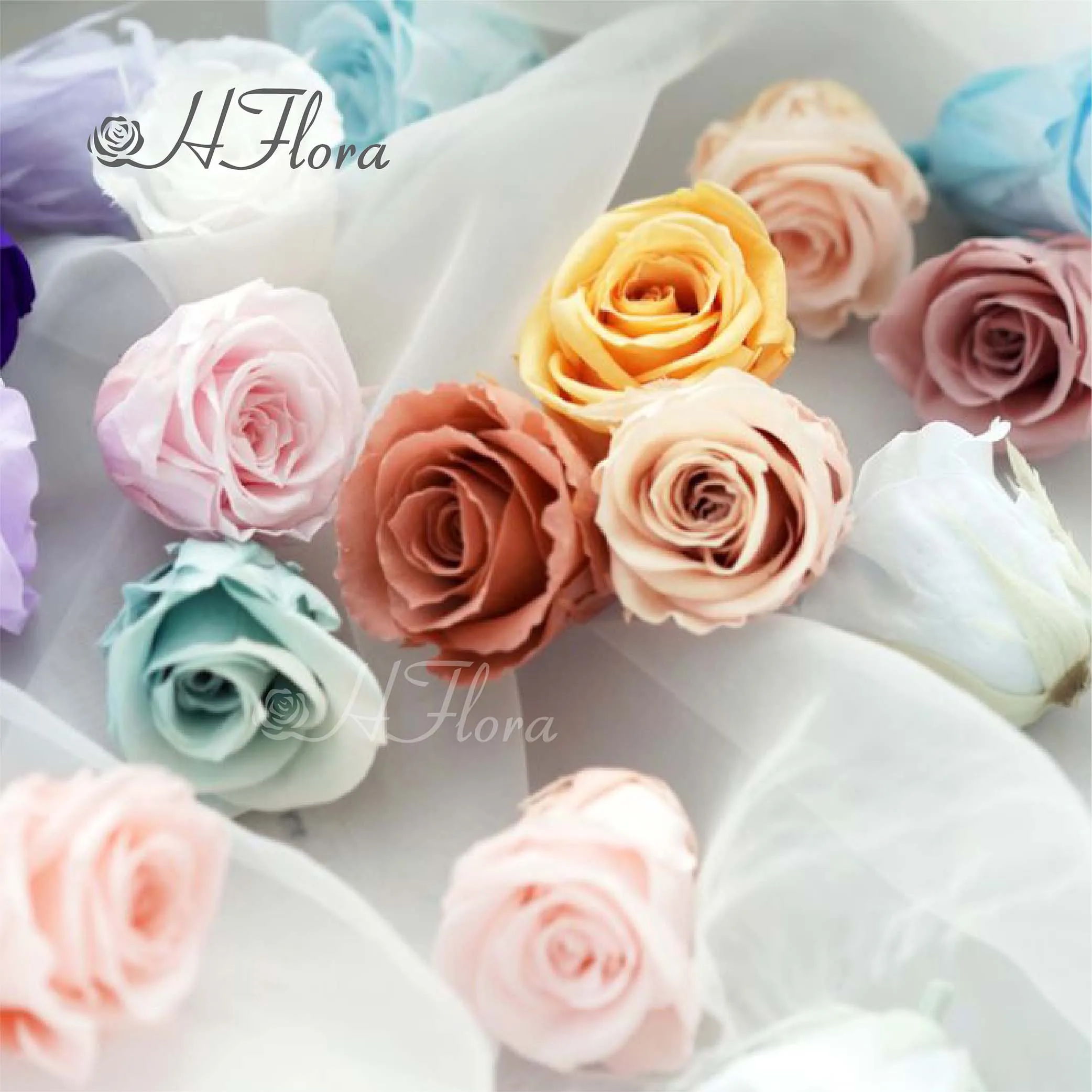 Hflora 3-4cm Mini Small Roses Eternelle Flower Head Valentines Day Roses Head Long Life Preserved Roses Grade A Wholesale In Box