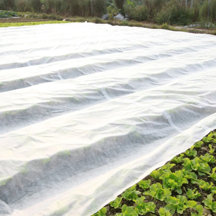 greenhouse winter biodegradable agricultural 100%pp nonwoven fabric film weed mat control plant freeze  protection cover mulch