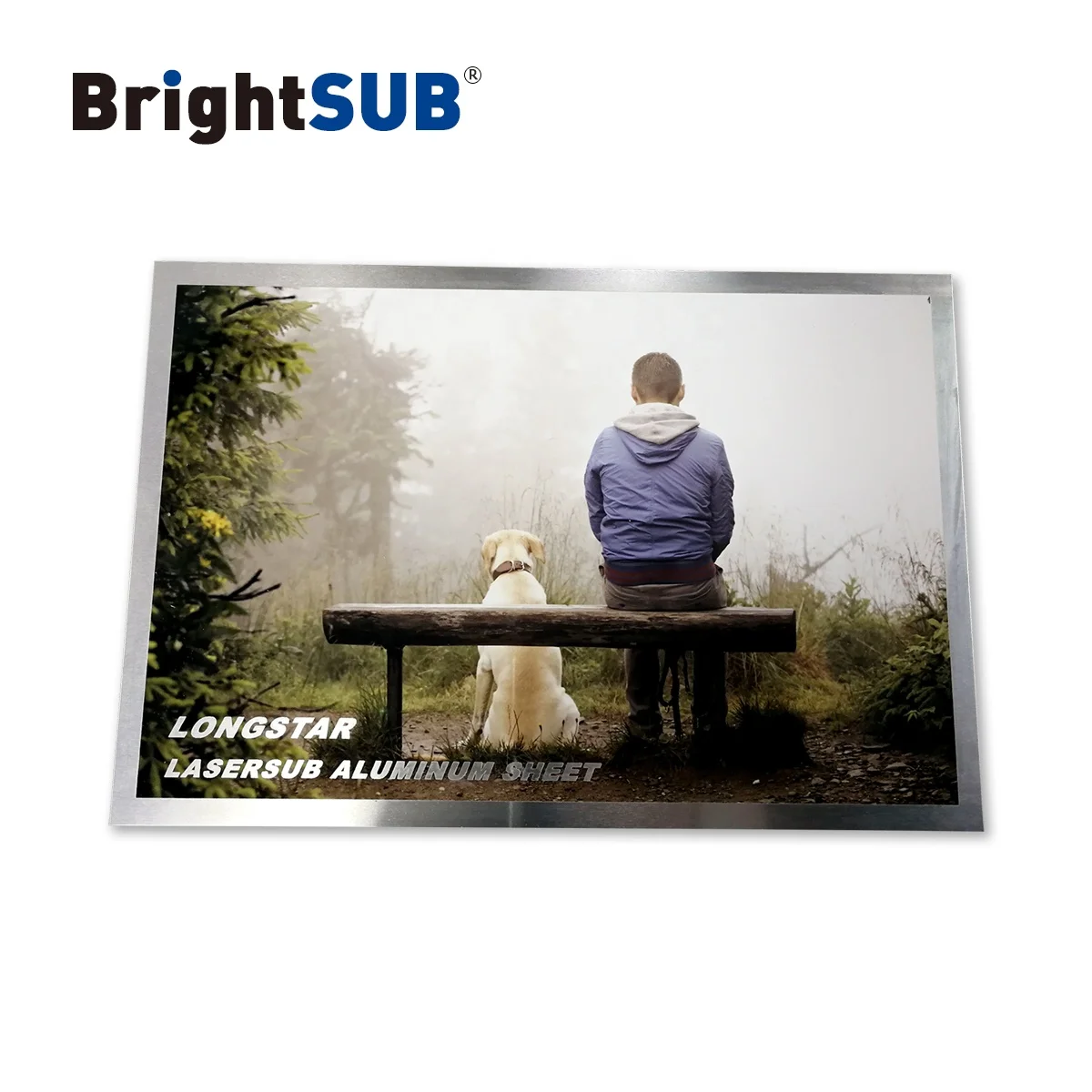 LaserSub Aluminum sheet gloss white sublimation metal blank laserable metal glossy coated sheets heat transfer picture printing