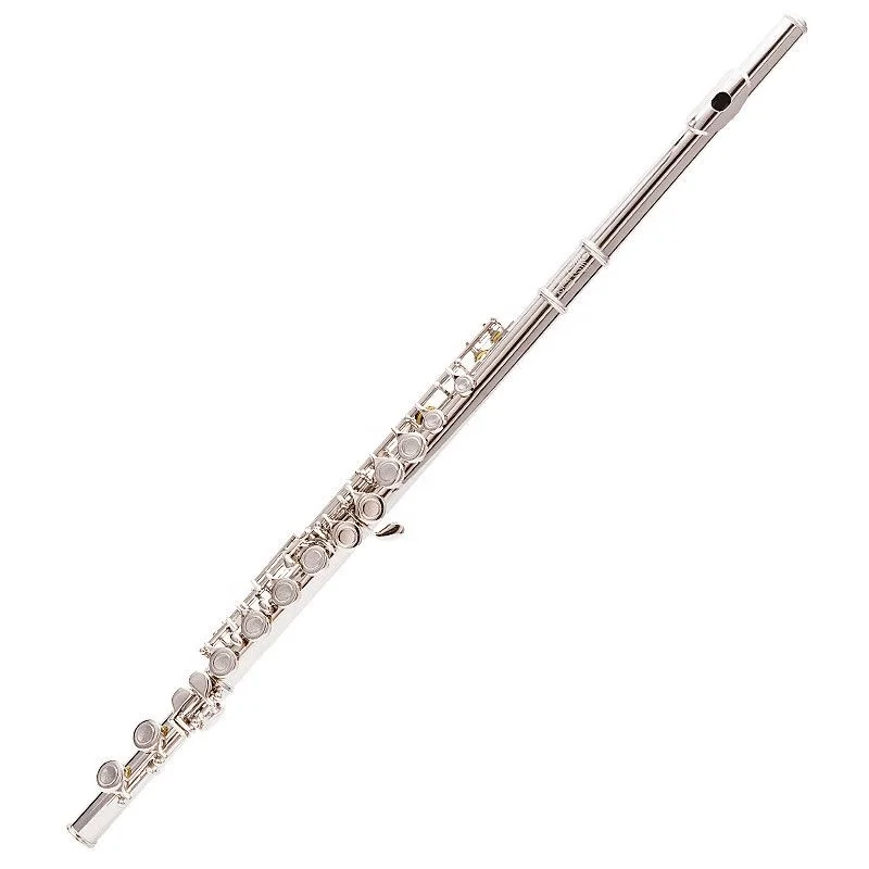 Flute Instrument 16/17 Open and Closed Hole Silver Plated C Key E Key Column Student Beginner Professional Entrance Examination