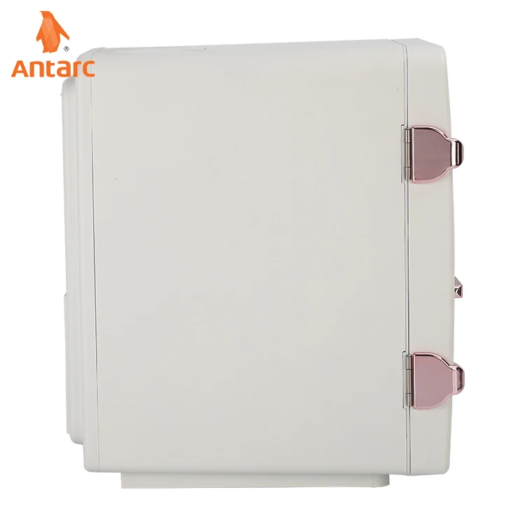 Low noise 6L breast milk medical fruit skin care products mini car fridge