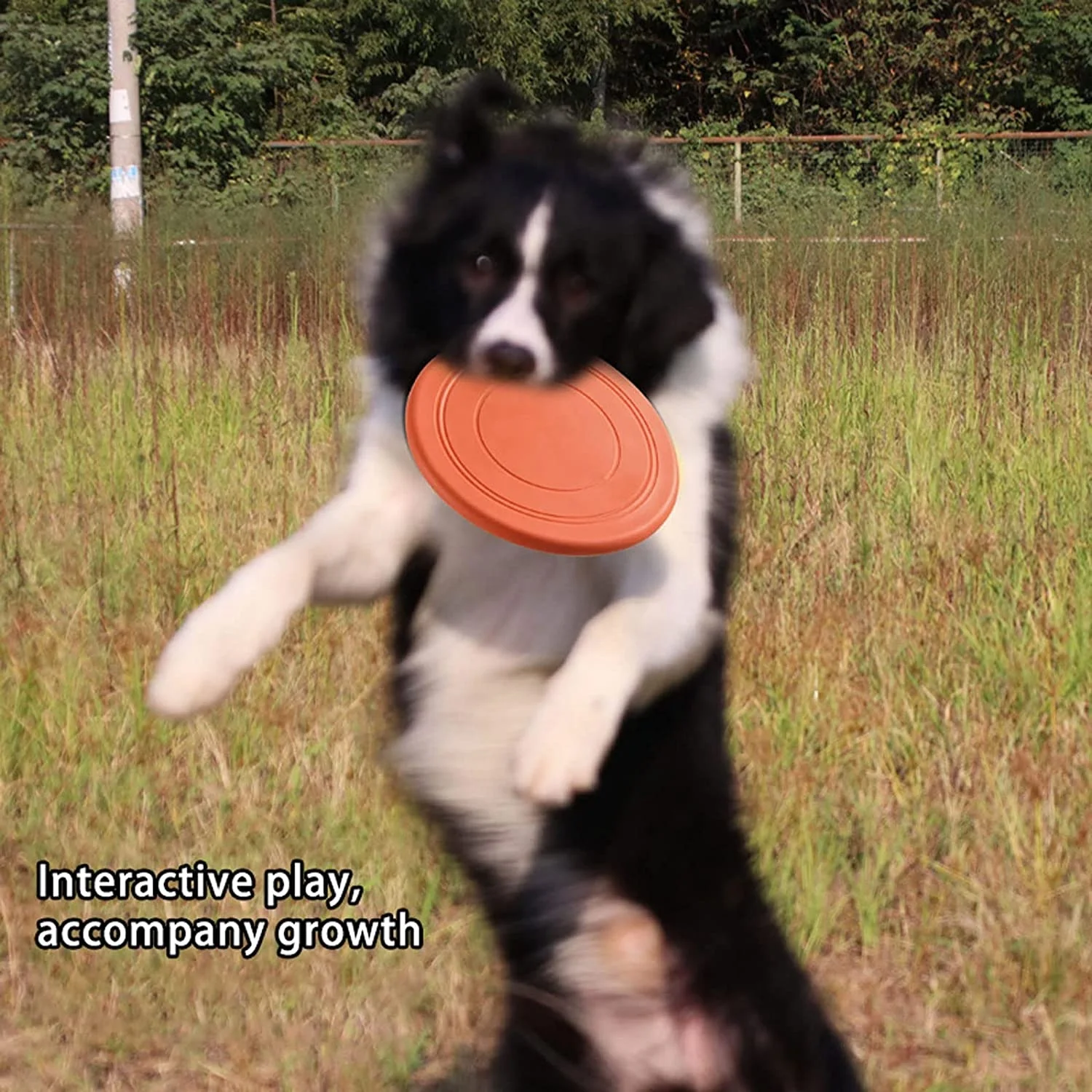Durable Rubber Flying Disc Lightweight Frisby Dog Toy for Aggressive Play Pets Interactive Flying Disc Toy