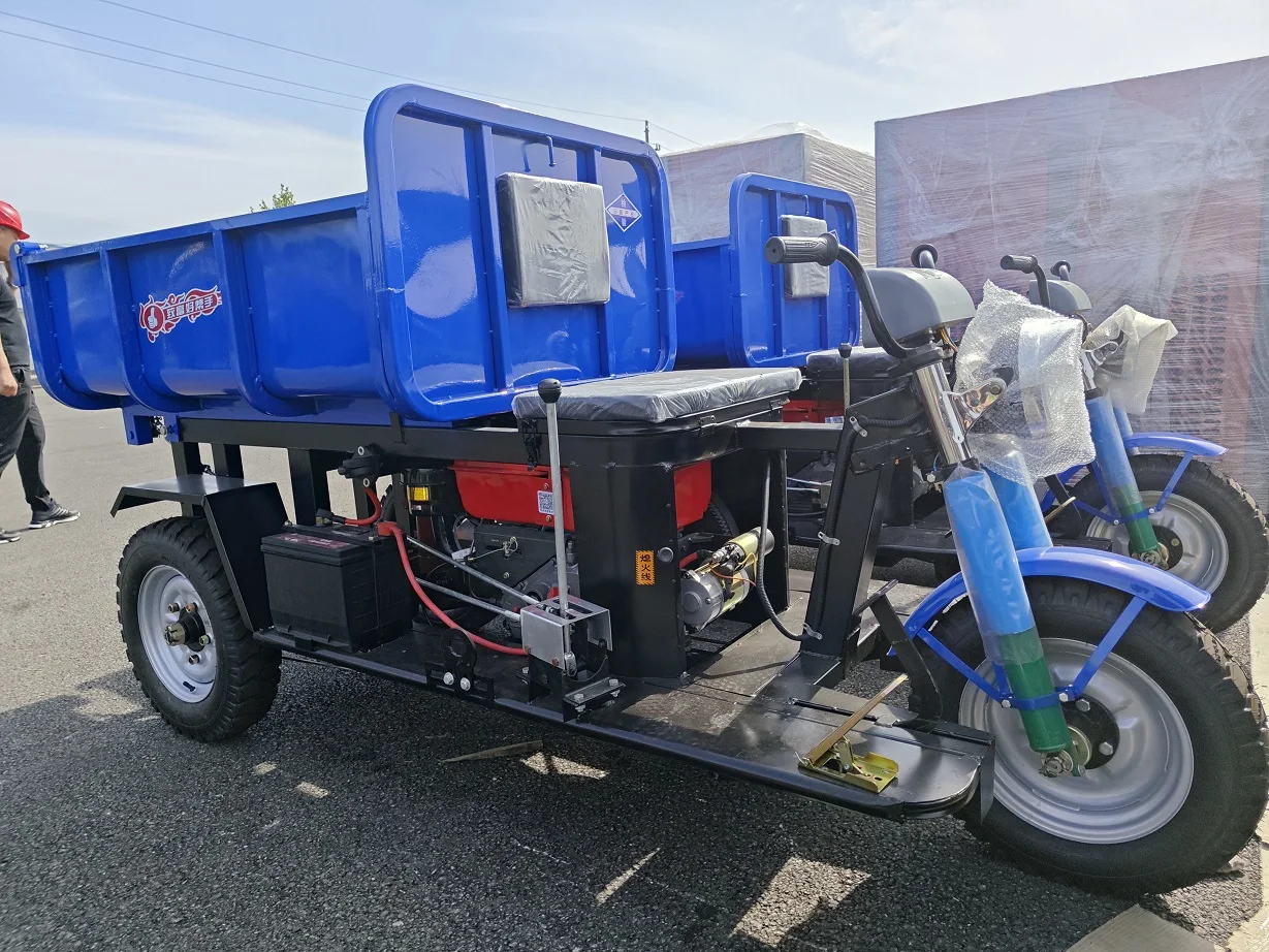Three Wheel Mini Dumper Truck 4000kg Agricultural Tricycle Dumper Truck Wheel Dumper Truck For Mine