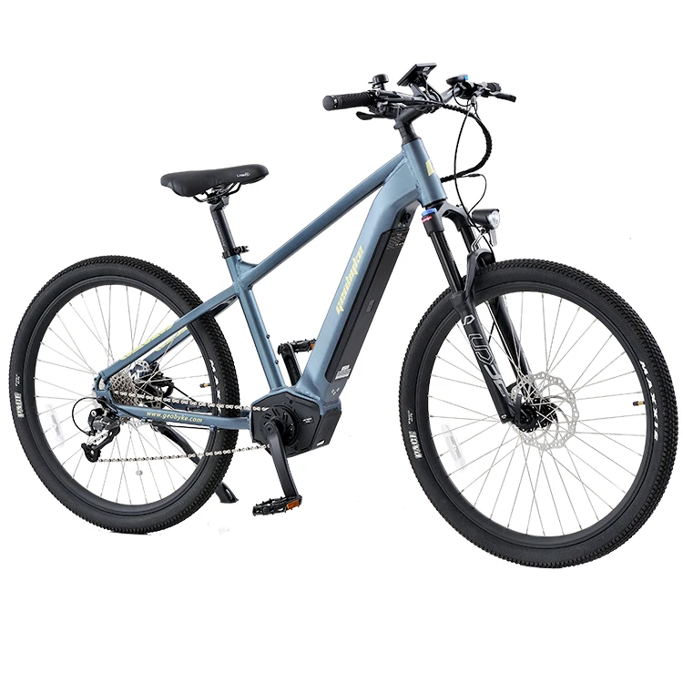 Hot Selling Manufacturer Manufacturing Light Electric Bicycle Factory Direct Sale Of The Latest Model