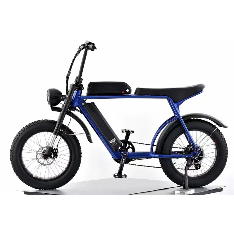 Two seat electric bike super power 750W 1000W 73 model green power electric fat bike