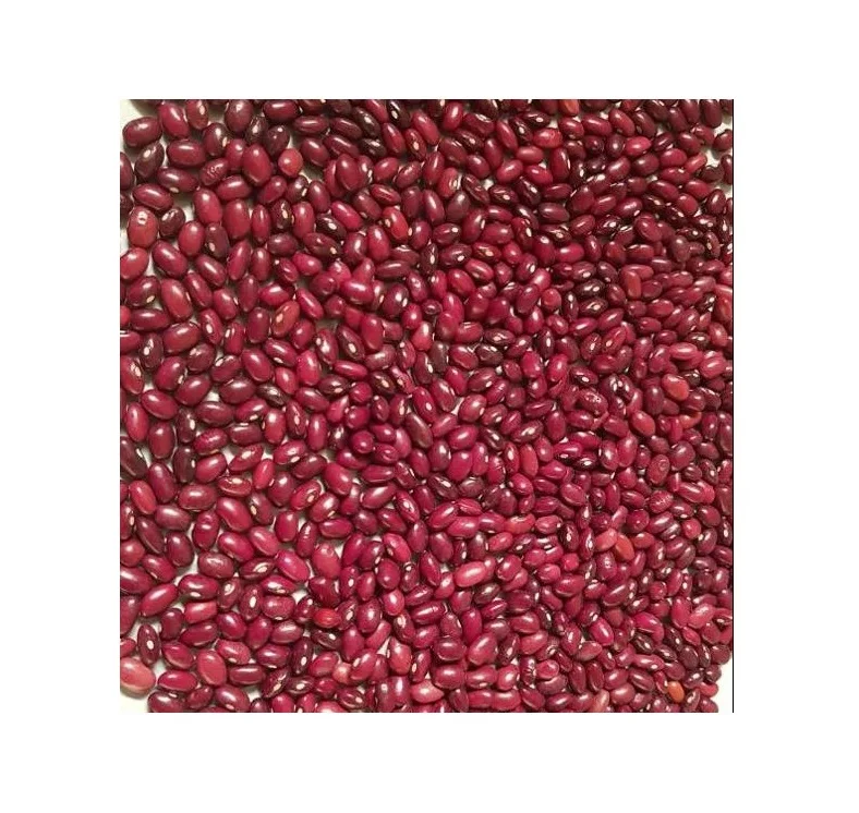 Эфиопская красная фасоль оптом по конкурентоспособной цене
