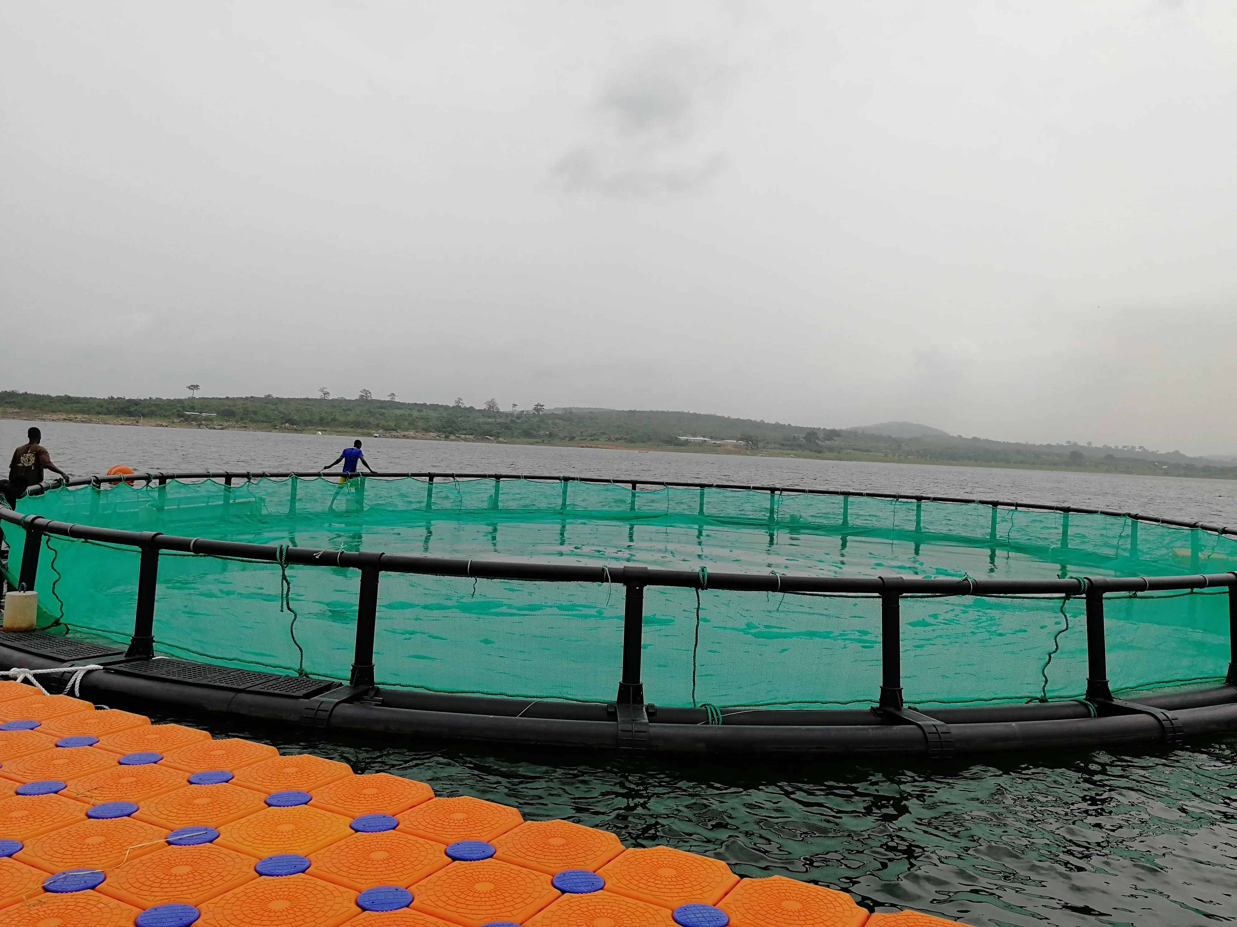 Round Cage in Deep Sea for Salmon Fish Farm