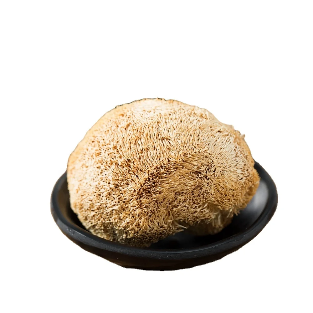 Натуральный высушенный Hericium грибы Hou Tou Gu