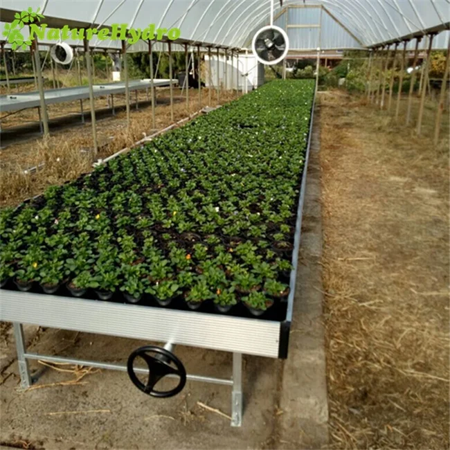 
NatureHydro rolling benches greenhouse flood grow tray and tables 