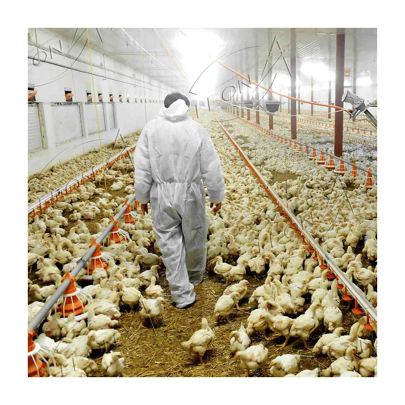 High Quality Automatic Control Chicken Poultry Farming Materials System in Nigeria