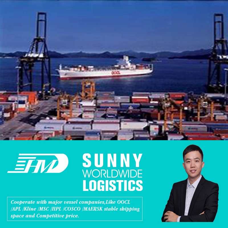  Шэньчжэнь Ocean Shipping Agent профессиональные услуги по таможенному оформлению и